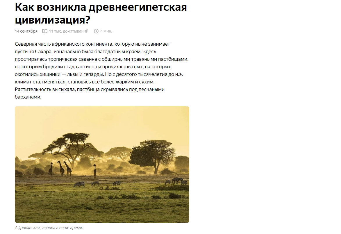 Пример статьи, основного формата в Яндекс.Дзен